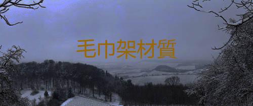 毛巾架材質