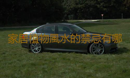 家居植物風水的禁忌有哪些？