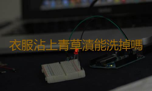 衣服沾上青草漬能洗掉嗎